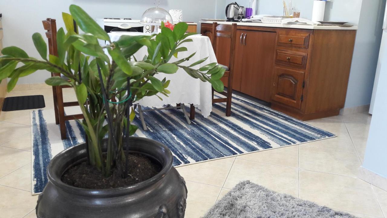Family Apartments Mesolóngion エクステリア 写真